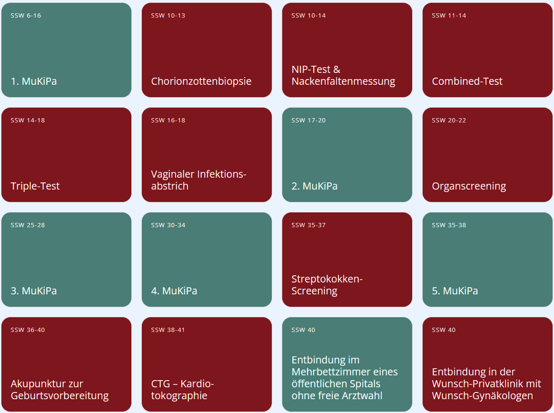 Schwangerschaftsleitfaden PRIVATpatient.at